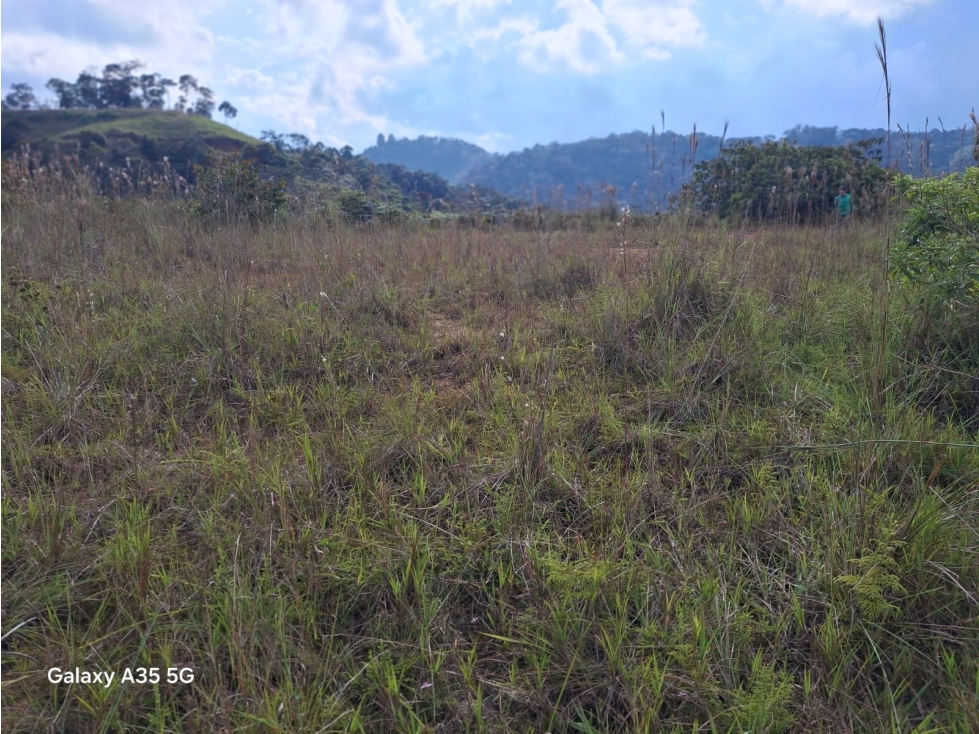 VENTA LOTE 5.000 M2 SAN ROQUE ANTIOQUIA - 4