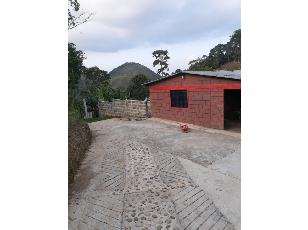 VENTA FINCA 10 HECTAREAS SAN ROQUE ANTIOQUIA - 3