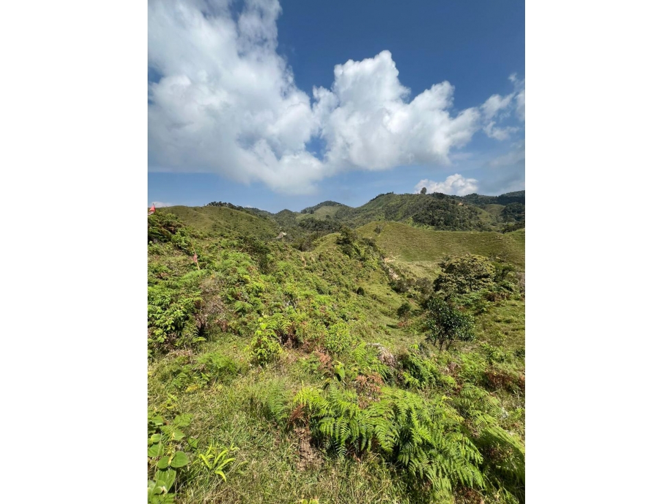 VENTA LOTE PARCELACION SANTO DOMINGO ANTIOQUIA - 3