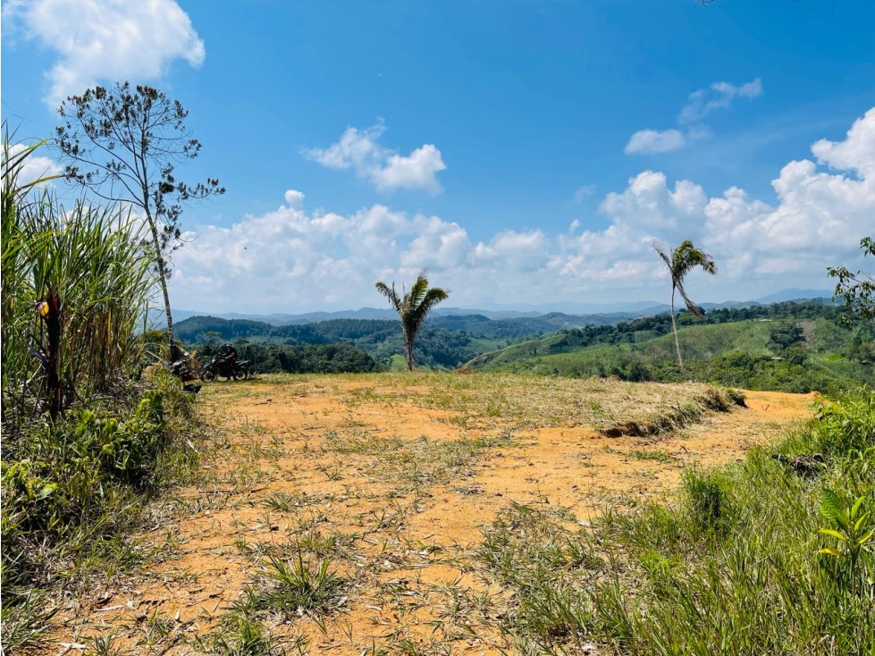 VENTA LOTE 3.333 MTS2 SAN ROQUE ANTIOQUIA - 4