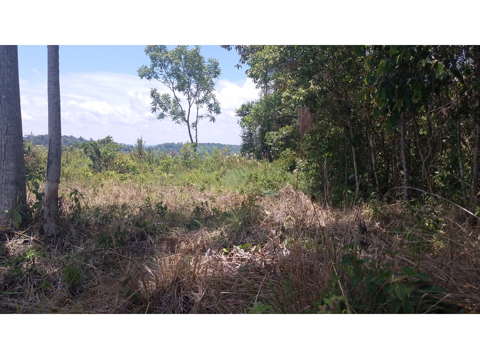 VENTA FINCA 7 HECTAREAS SAN ROQUE ANTIOQUIA - 6