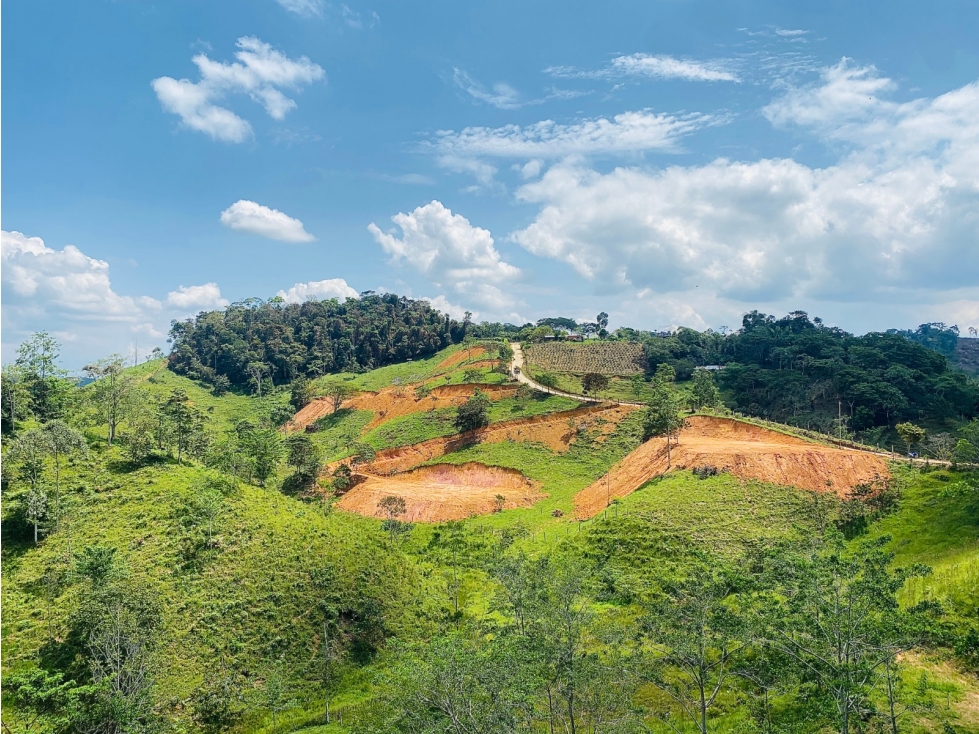 VENTA LOTES SAN ROQUE ANTIOQUIA - 4