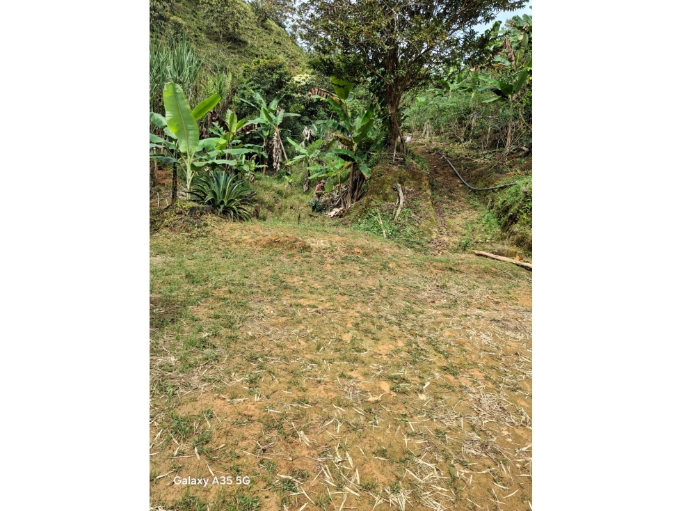 VENTA LOTE CON VIVENDA EN SAN ROQUE ANTIOQUIA - 4