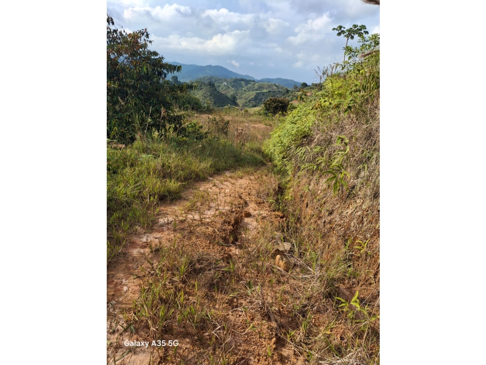 VENTA LOTE 5.000 M2 SAN ROQUE ANTIOQUIA - 5