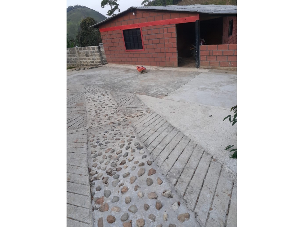 VENTA FINCA 10 HECTAREAS SAN ROQUE ANTIOQUIA - 4