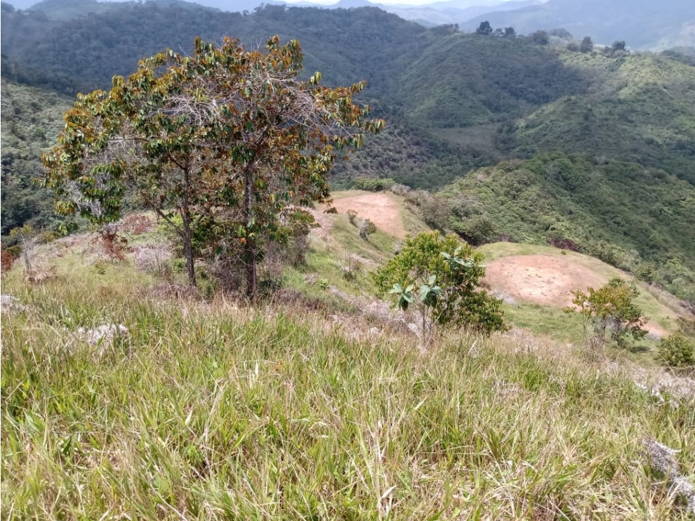 VENTA LOTE 7.200 MTS 2 QUINTAS DE SANTA CRUZ SAN ROQUE - 2