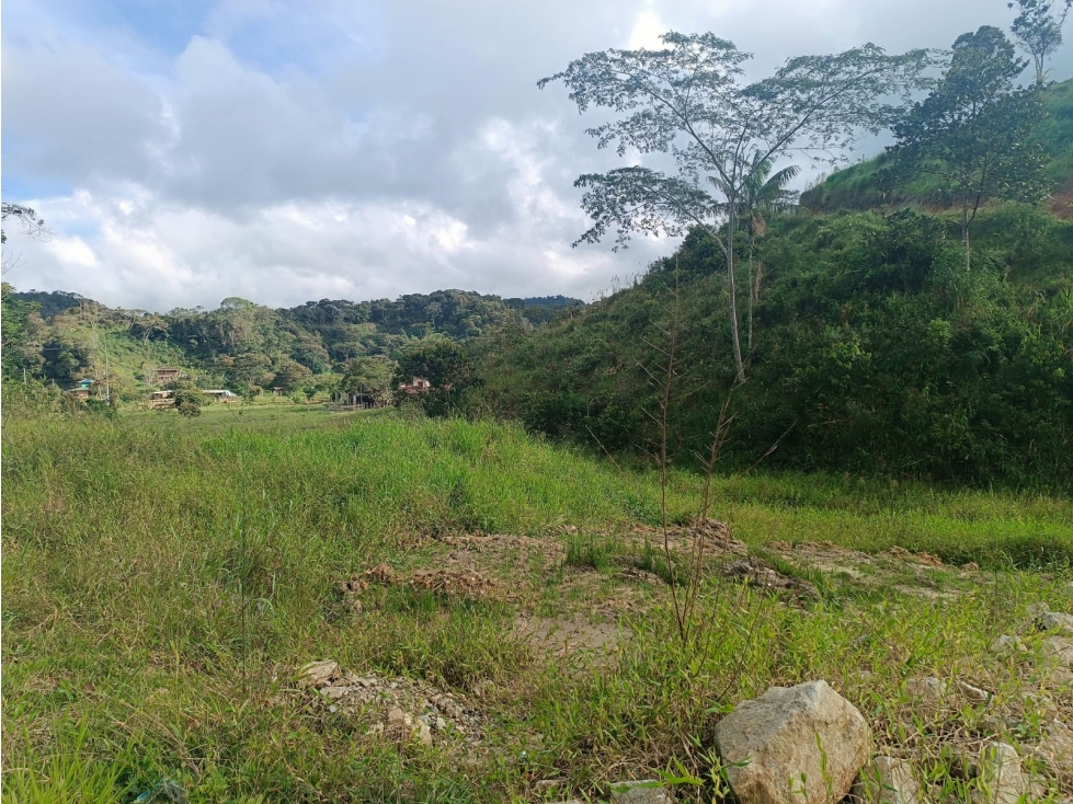 VENTA LOTE VILLA LAURA SAN ROQUE ANTIOQUIA - 5