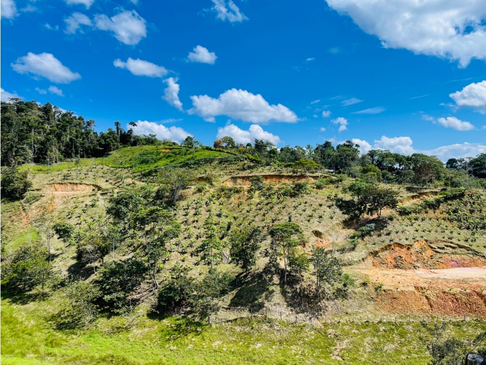 VENTA LOTES SAN ROQUE ANTIOQUIA - 5