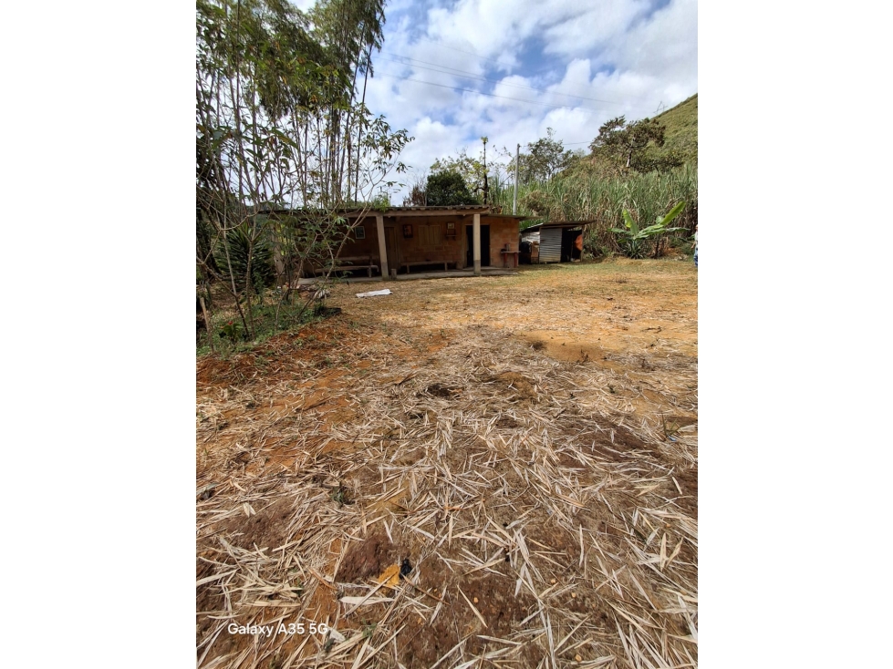 VENTA LOTE CON VIVENDA EN SAN ROQUE ANTIOQUIA - 5