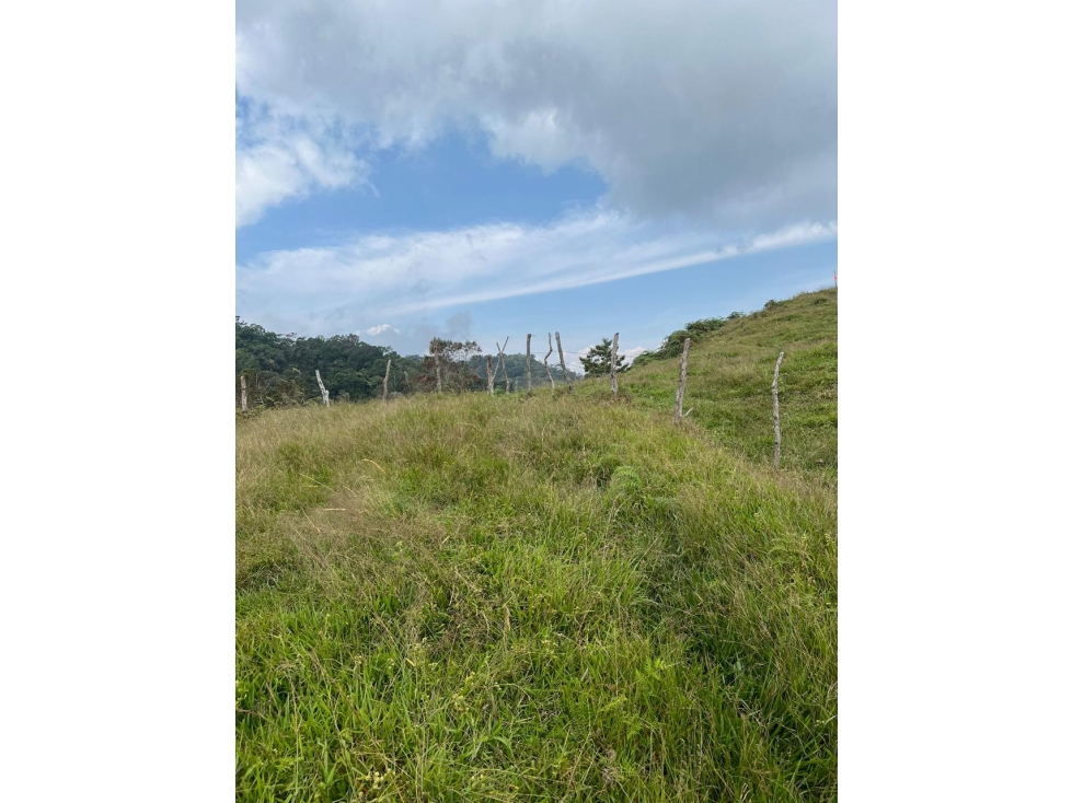 VENTA LOTE PARCELACION SANTO DOMINGO ANTIOQUIA - 5