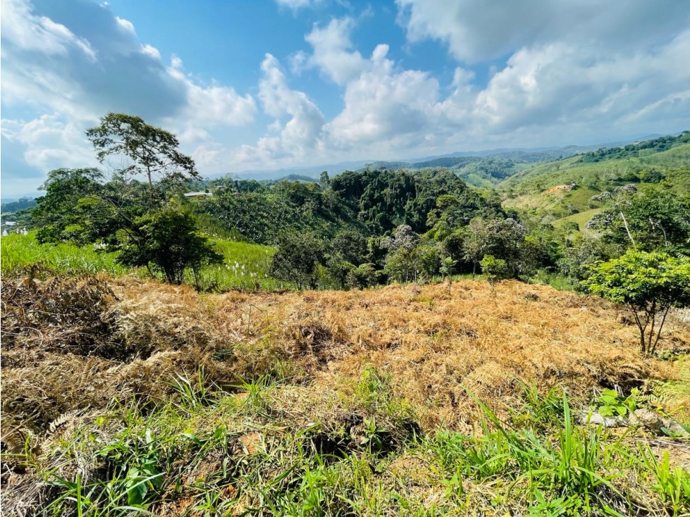 VENTA LOTE 3.333 MTS2 SAN ROQUE ANTIOQUIA - 6