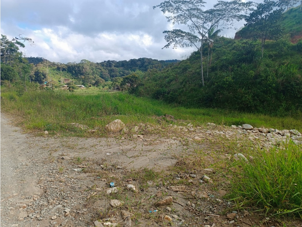 VENTA LOTE VILLA LAURA SAN ROQUE ANTIOQUIA - 6