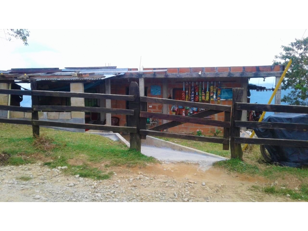 FINCA DE 9 HECTÁREAS EN SAN ROQUE ANTIOQUIA - 1
