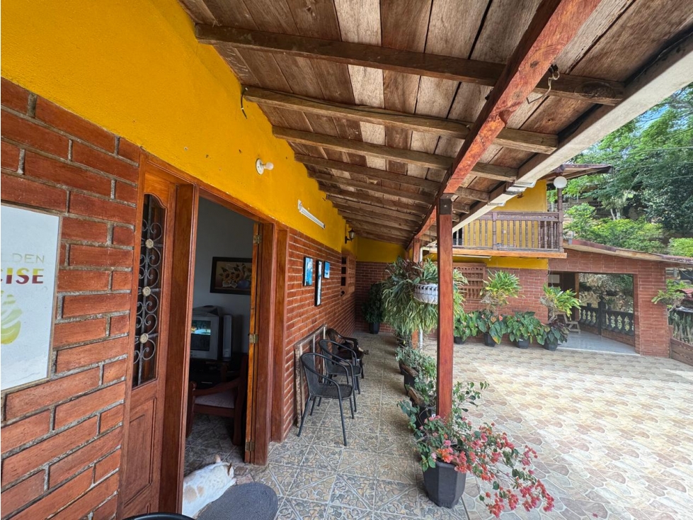 VENTA HERMOSA FINCA 11.3 HECT. YOLOMBO ANTIOQUIA - 5