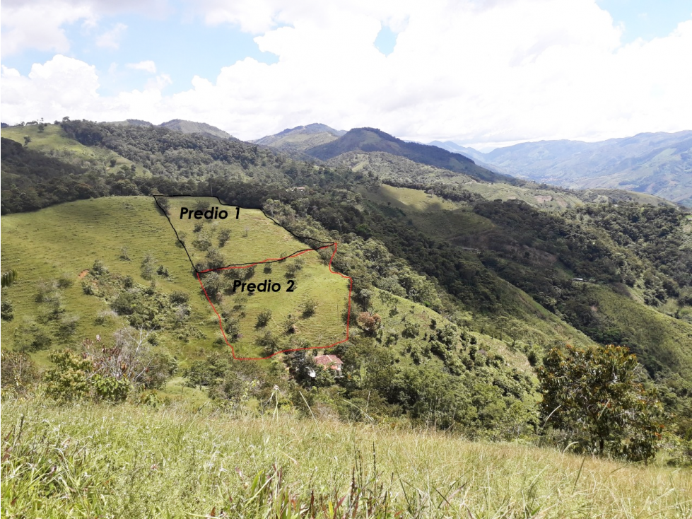 VENTA LOTE DE 3.347 MT2 EN SAN ROQUE ANTIOQUIA - 1