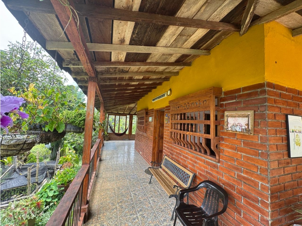 VENTA HERMOSA FINCA 11.3 HECT. YOLOMBO ANTIOQUIA - 3