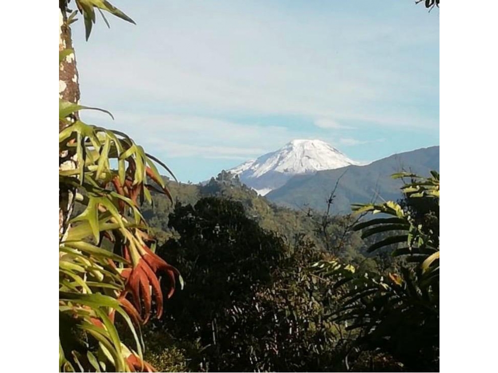 VENDO EN IBAGUÉ FINCA CON HERMOSA VISTA AL NEVADO DEL TOLIMA - 2