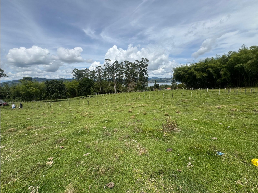 LOTE EN LAGO CALIMA EL DARIEN - 1