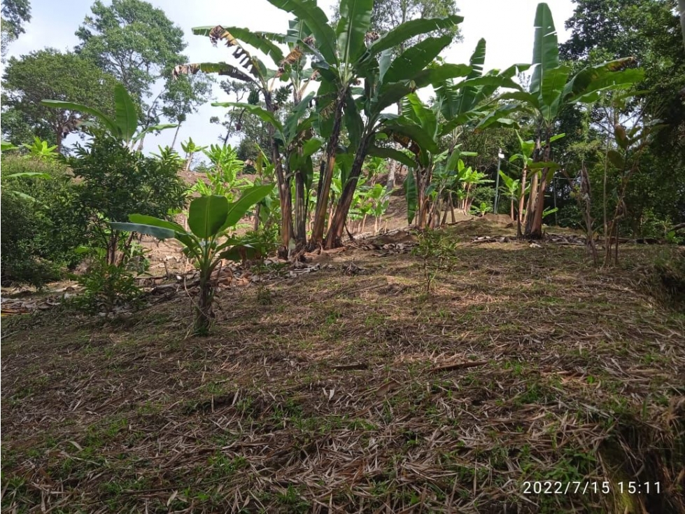 VENDO EN IBAGUÉ FINCA CON HERMOSA VISTA AL NEVADO DEL TOLIMA - 5