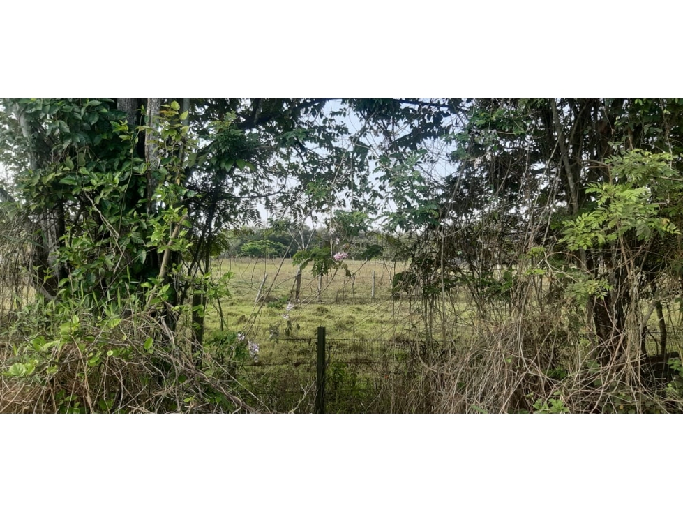 OPORTUNIDAD UNICA LOTE DE TERRENO SUR DE CALI — foto 2