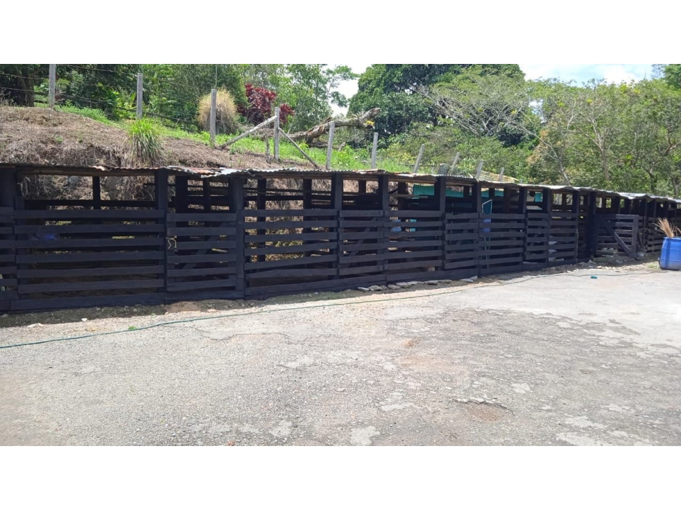 VENDO EN IBAGUÉ FINCA CON HERMOSA VISTA AL NEVADO DEL TOLIMA - 3
