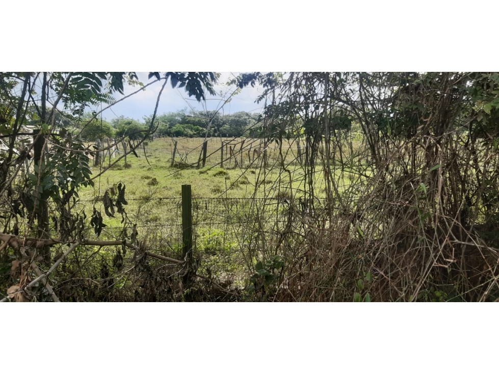 OPORTUNIDAD UNICA LOTE DE TERRENO SUR DE CALI — foto 4