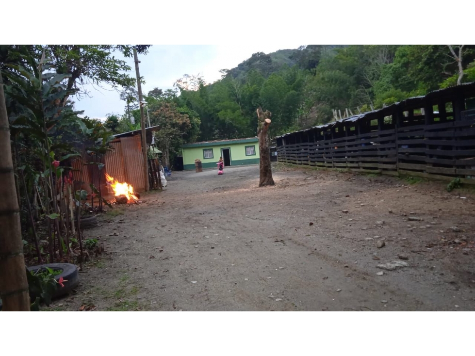 VENDO EN IBAGUÉ FINCA CON HERMOSA VISTA AL NEVADO DEL TOLIMA - 4