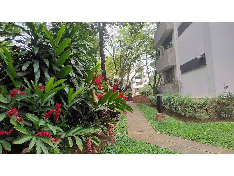 VENTA DE PENTHOUSE EN MULTICENTRO AMOBLADO- CALI — foto 4