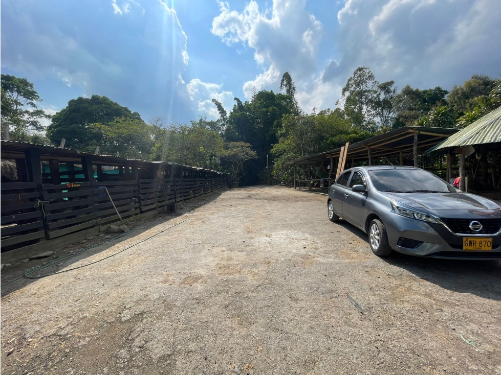VENDO EN IBAGUÉ FINCA CON HERMOSA VISTA AL NEVADO DEL TOLIMA - 6