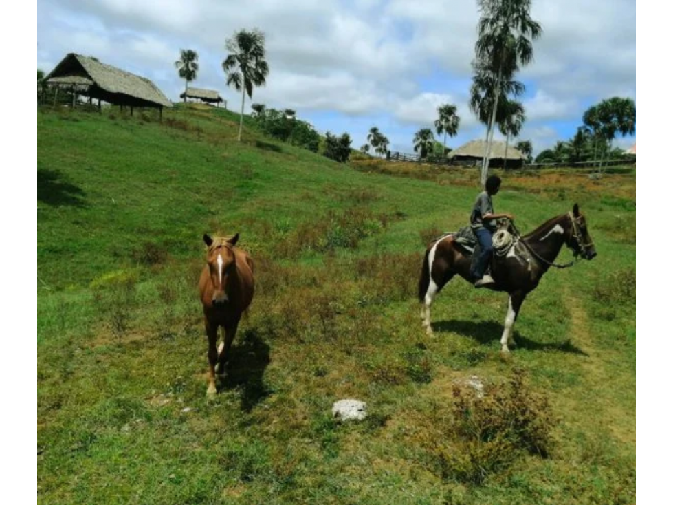 FINCA EN VENTA VÍA PUBLO NUEVO, NECOCLI - 1