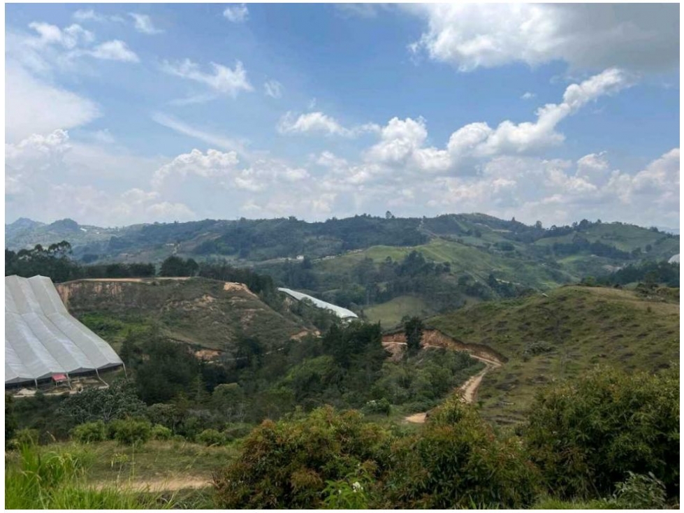 FINCA AGRICOLA SAN VICENTE — foto 2