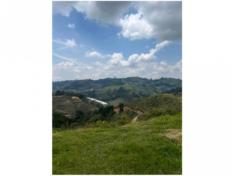 FINCA AGRICOLA SAN VICENTE — foto 3