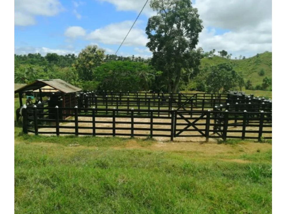 FINCA EN VENTA VÍA PUBLO NUEVO, NECOCLI - 3