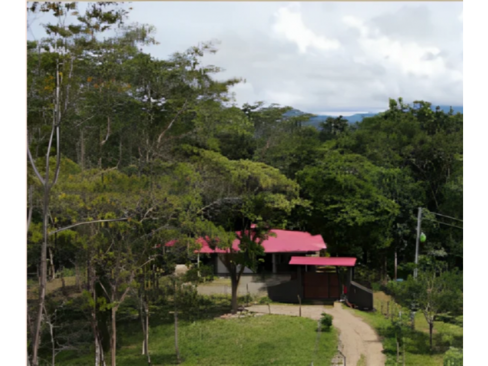 LOTE EN VENTA ALTOS DE HAKUNA, APARTADÓ - 2