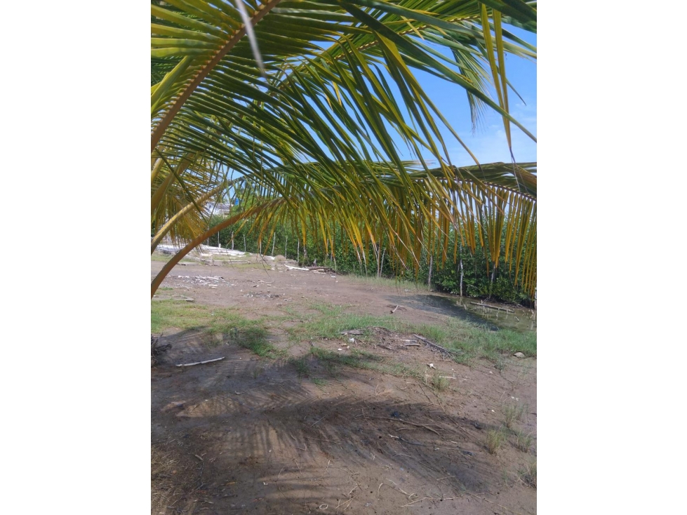 SE VENDE LOTE EN EL MUNICIPIO DE MOÑITOS CORDOBA - 5