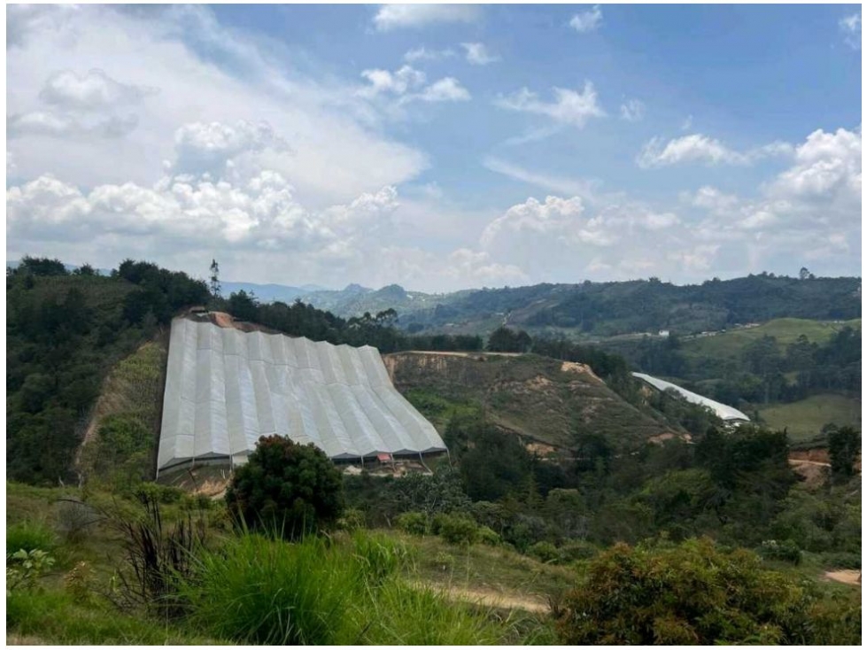 FINCA AGRICOLA SAN VICENTE — foto 4