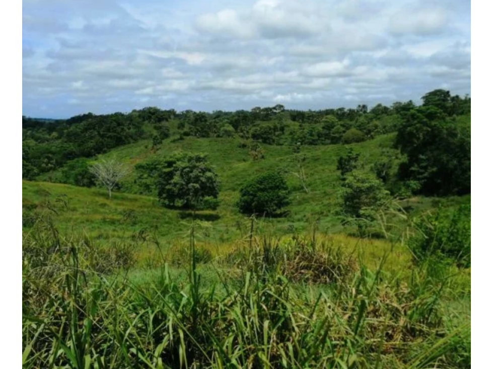FINCA EN VENTA VÍA PUBLO NUEVO, NECOCLI - 4