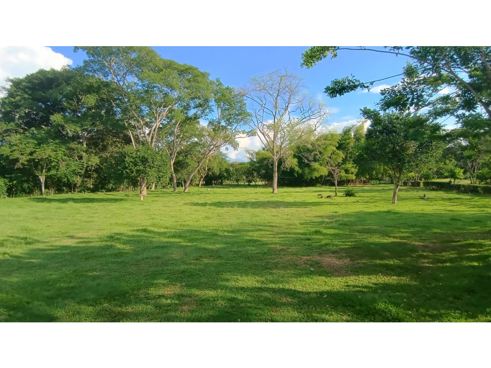 SE VENDE LOTE EN SANTA FE DE ANTIOQUIA