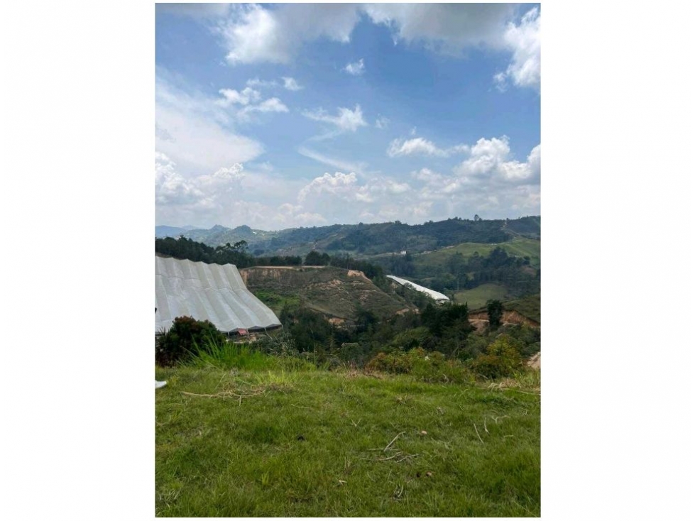FINCA AGRICOLA SAN VICENTE — foto 5