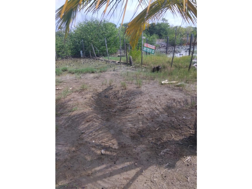 SE VENDE LOTE EN EL MUNICIPIO DE MOÑITOS CORDOBA - 6