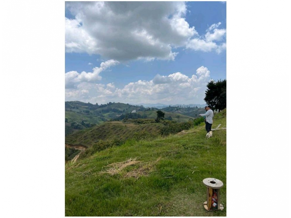 FINCA AGRICOLA SAN VICENTE — foto 6