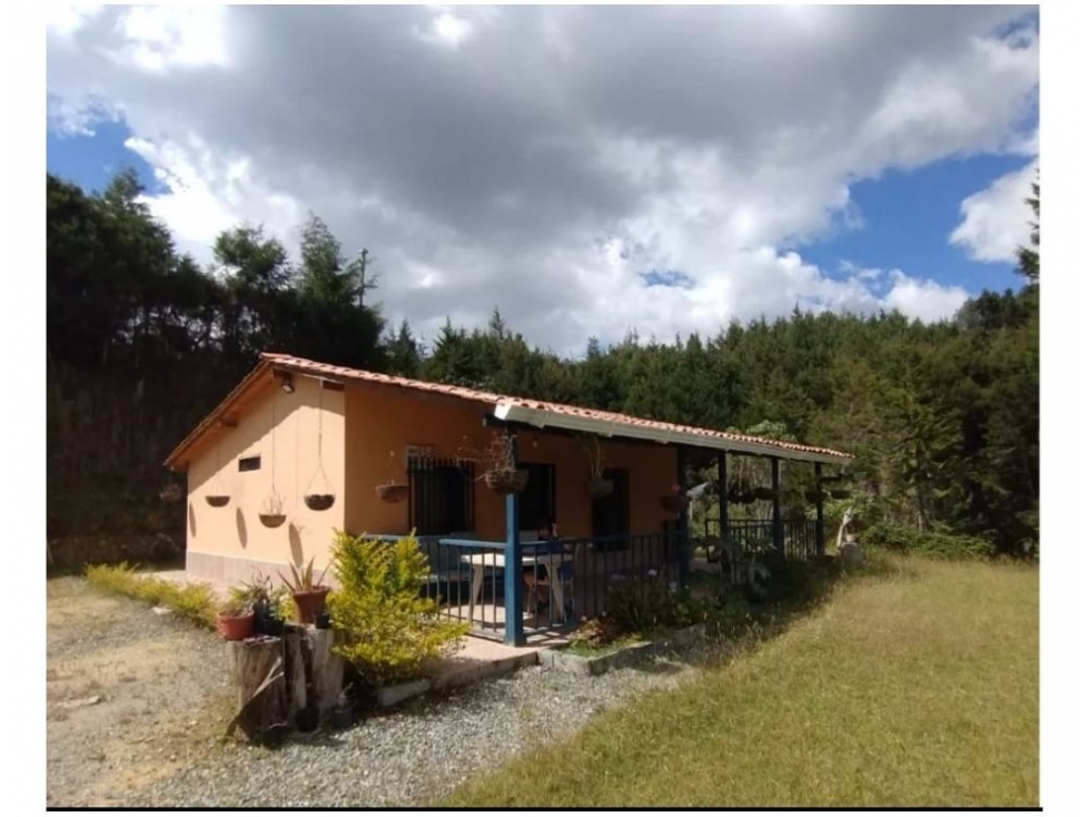 SE VENDE O SE CAMBIA FINCA EN GUARNE VEREDA LA PASTORCITA - 1
