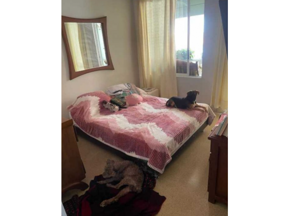 SE VENDE CASA EN LOMA DE LOS BERNAL UNIDAD COMPLETA — foto 6