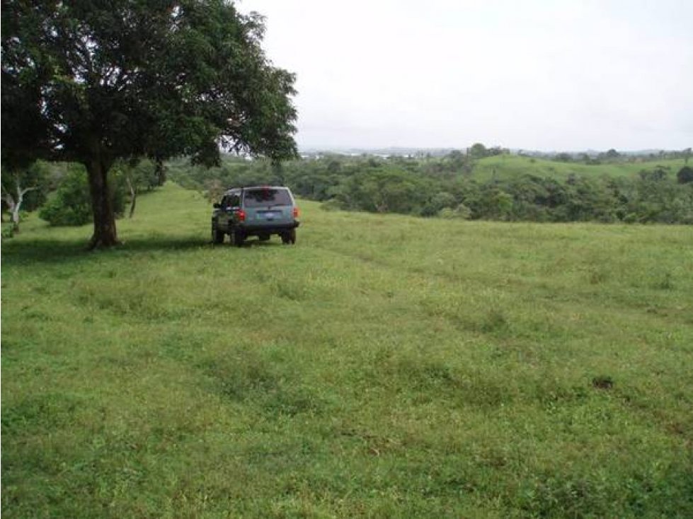 VENTA LOTE CHORRERA EL ESPINO 52 HECTAREAS CV — foto 5