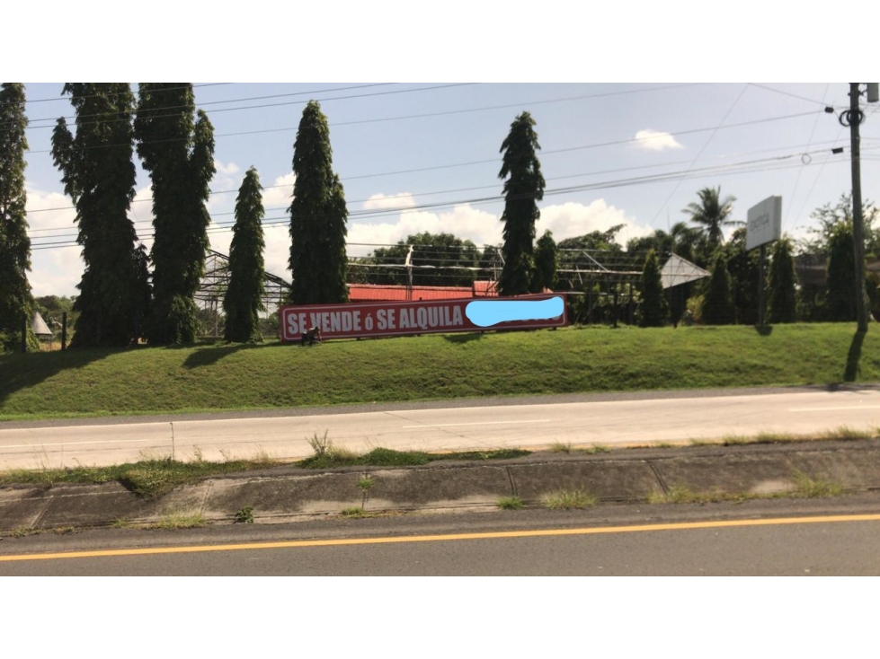 TERRENO COMERCIAL-RESIDENCIAL 4.5 HECTAREAS CARRETERA PANAMERICANA — foto 6