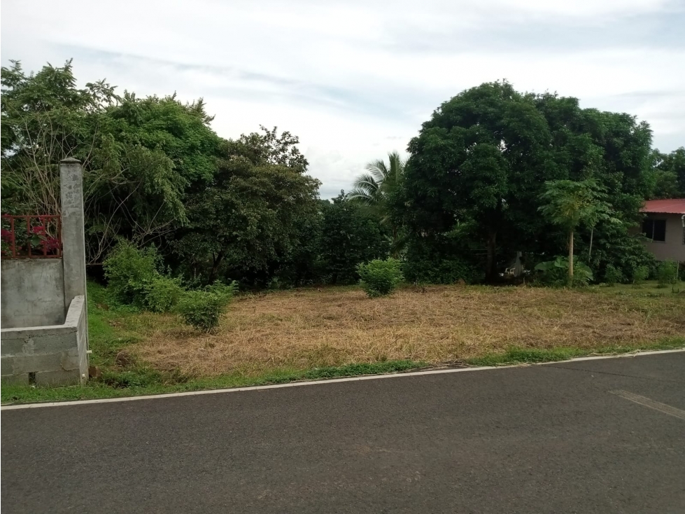 VENTA DE TERRENO EN EL VALLE DE CERRO AZUL cv - 3
