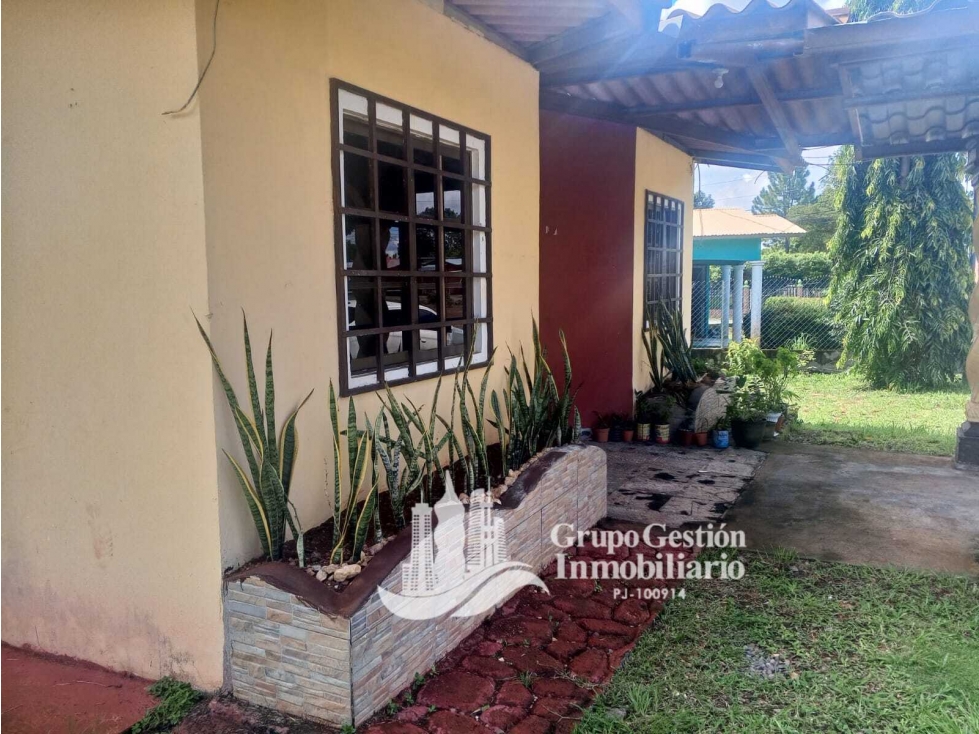 Vendo casa centrica en David