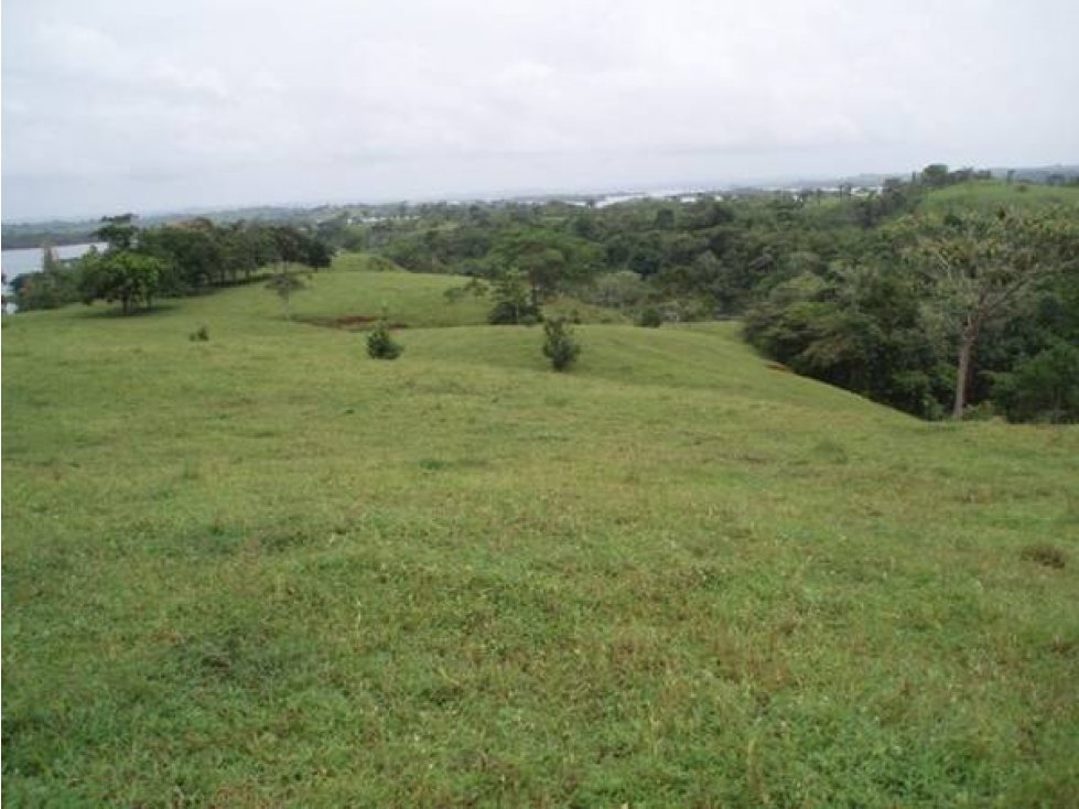 VENTA LOTE CHORRERA EL ESPINO 52 HECTAREAS CV — foto 2