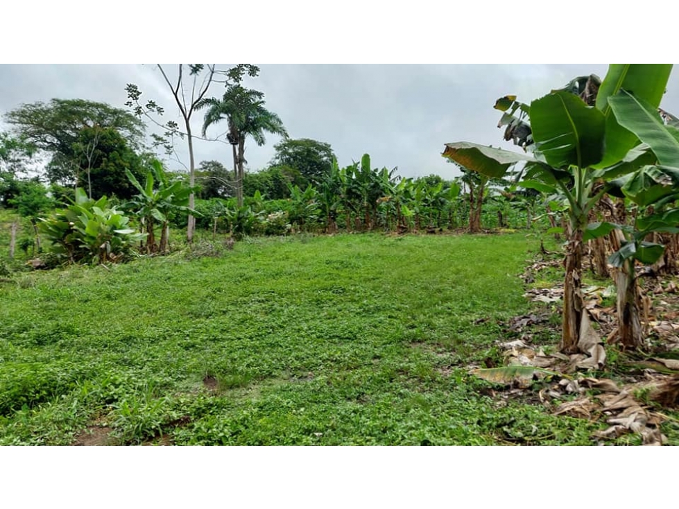 VENDO TERRENO 6220 M2 EN PRODUCCION BOQUERON - 1