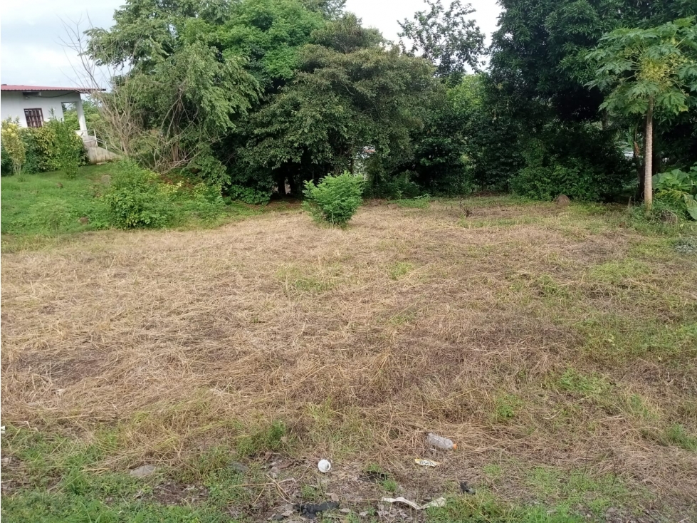 VENTA DE TERRENO EN EL VALLE DE CERRO AZUL cv - 4